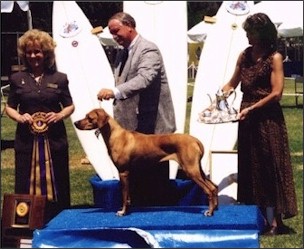 Alicia Mohr judging the 1997 National Specialty