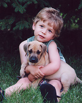 Kimani sales rhodesian ridgebacks