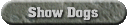 Current Show Dogs