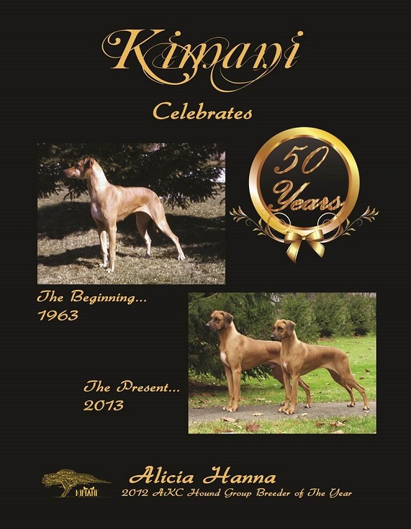 kimani rhodesian ridgebacks