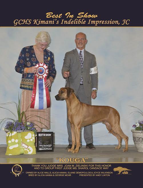 kimani rhodesian ridgebacks